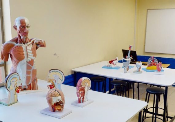 Laboratorio de Anatomía