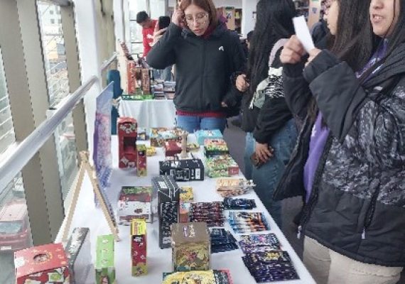 TEMUCO Imagen28